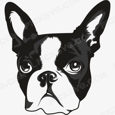 Boston Terrier Dog Svg Boston Terrier Dog Svg - Animal Svg