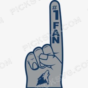 Minnesota Timberwolves 1Fan