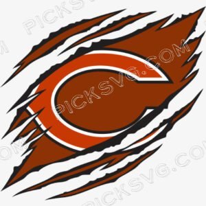 Ripped Chicago Bears