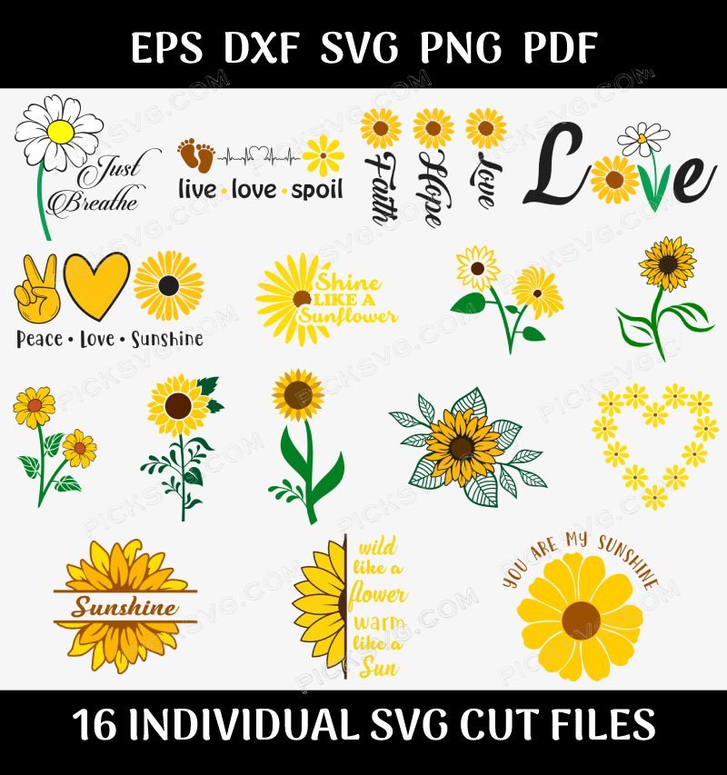 Sunflower Bundle Svg Sunflower Bundle Svg - Design Bundle SVG