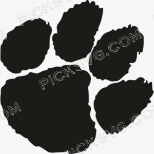 Tiger Paw Svg - Animal Svg