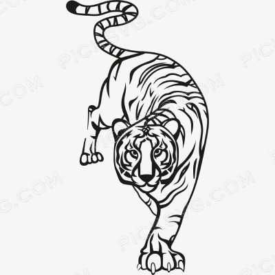 Tiger Tiger Svg - Animal Svg